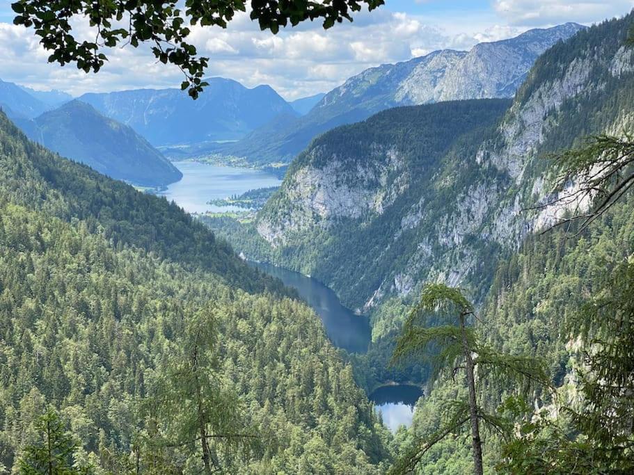 Alpenurlaub II Wohnung Mit Traumausblick Bad Mitterndorf Ngoại thất bức ảnh