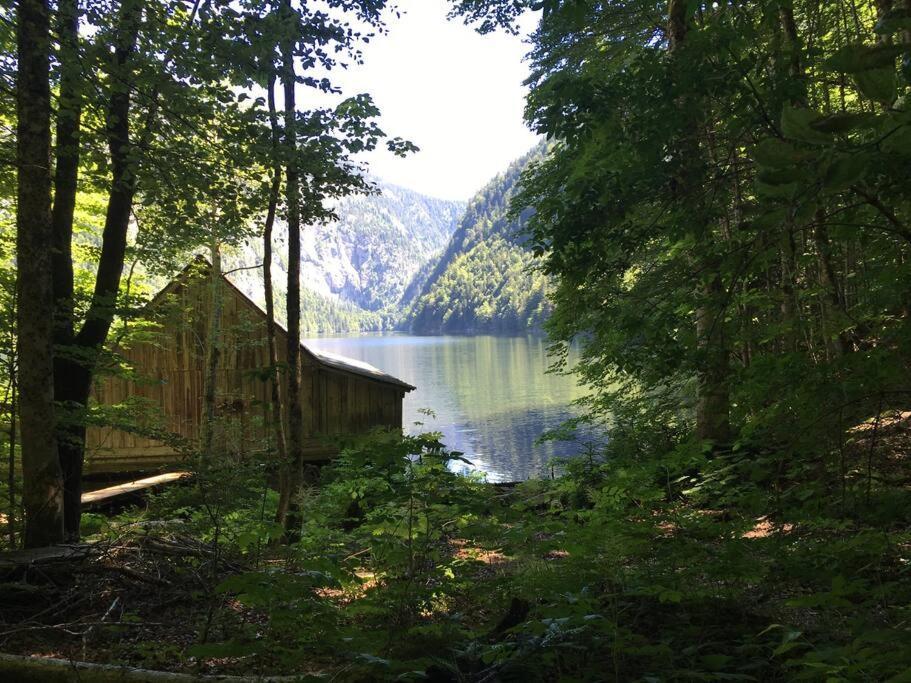 Alpenurlaub II Wohnung Mit Traumausblick Bad Mitterndorf Ngoại thất bức ảnh