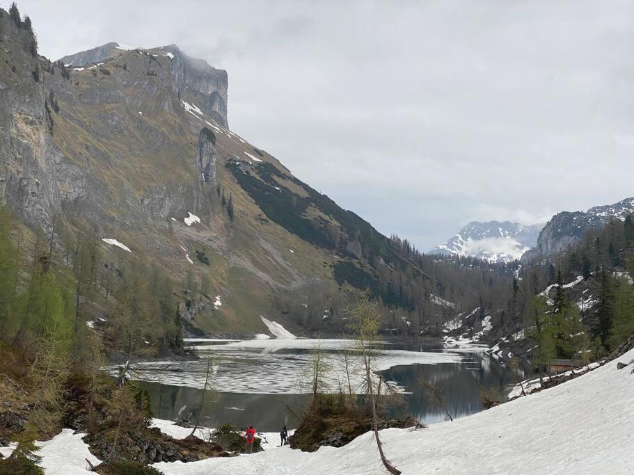 Alpenurlaub II Wohnung Mit Traumausblick Bad Mitterndorf Ngoại thất bức ảnh
