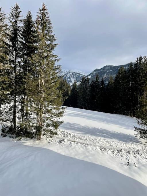Alpenurlaub II Wohnung Mit Traumausblick Bad Mitterndorf Ngoại thất bức ảnh