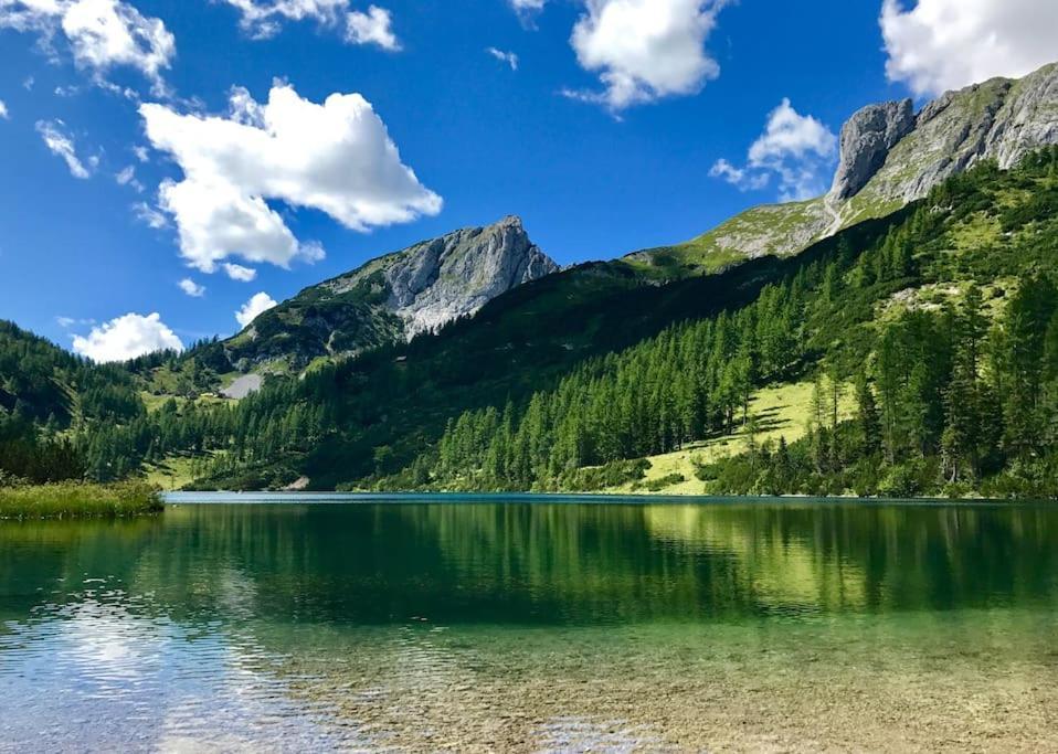 Alpenurlaub II Wohnung Mit Traumausblick Bad Mitterndorf Ngoại thất bức ảnh
