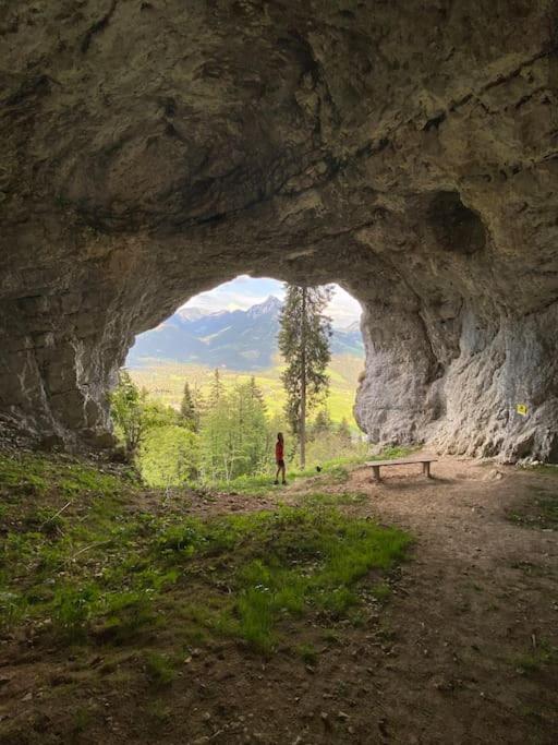 Alpenurlaub II Wohnung Mit Traumausblick Bad Mitterndorf Ngoại thất bức ảnh