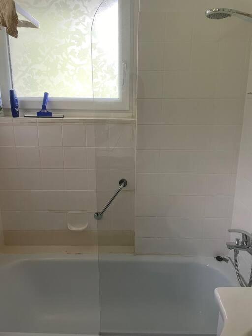 Alpenurlaub II Wohnung Mit Traumausblick Bad Mitterndorf Ngoại thất bức ảnh